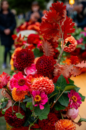 Autumn floral arrangement of red, orange and pink dahlias and zinnias with deep red oak leaves, creating a warm, festive bouquet perfect for fall celebrations and harvest decorの写真素材