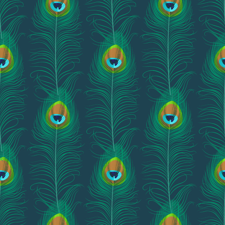 Colorful feather design.のイラスト素材