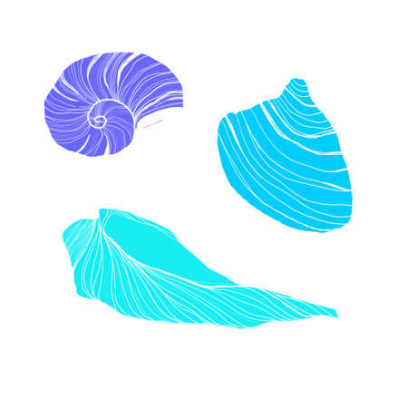 Vector Seashells line art set. Hand drawn illustration of sea Shells on isolated background. Drawing of Scallop and Starfish on outline style. Sketch of Cockleshell painted by black ink.のイラスト素材