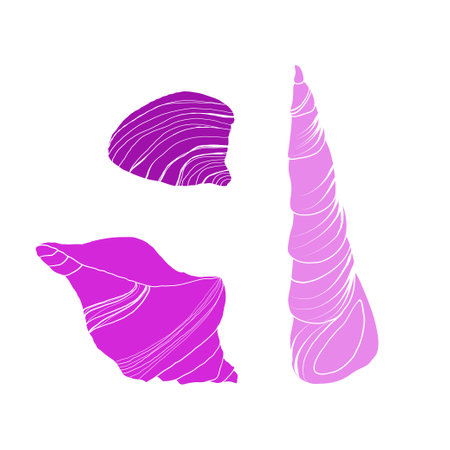 Vector Seashells line art set. Hand drawn illustration of sea Shells on isolated background. Drawing of Scallop and Starfish on outline style. Sketch of Cockleshell painted by black ink.のイラスト素材