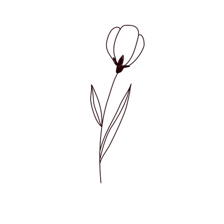 Vector illustration of line art abstract flower. Hand drawn modern minimalistic designのイラスト素材