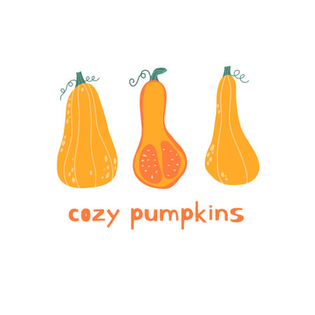 Autumn minimalistic banner with cute cozy colorful pumpkins. Template for thanksgiving and harvest day.のイラスト素材