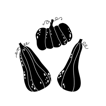 Pumpkins, squashes silhouettes isolated set. Hand drawn vector illustration. Cartoon style flat design. Autumn, fall vegetable, Thanksgiving, harvest festival, seasonal print element, objects for scrapbooking.のイラスト素材