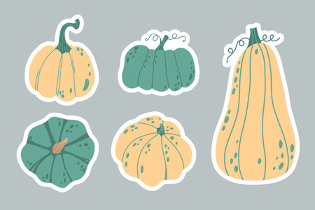 Autumn pumpkin stickers set different shapes and sizes. Seasonal fall harvest. Halloween orange, yellow and green vegetables. Colored flat vector illustration isolated on white backgroundのイラスト素材