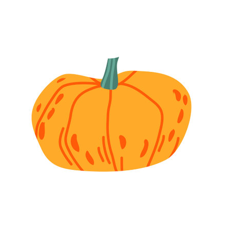Cozy pumpkin, halloween decor, fall harvest gourd. Pumpkin, squash and leaves vector symbol illustration. Autumn thanksgiving and pumpkin icon on white backgroundのイラスト素材