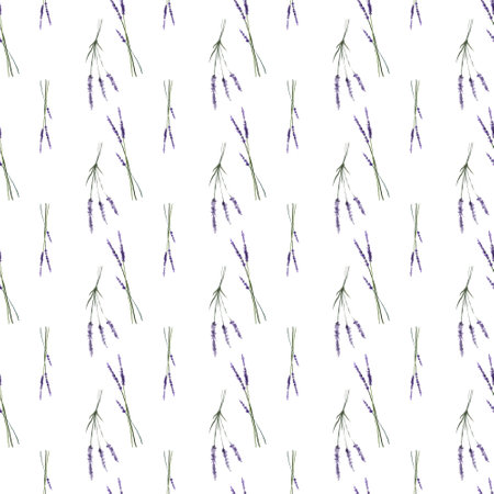 Lavender flowers seamless pattern isolated on white background. Watercolor botanical illustration. For card, wallpaper, packaging, invitation, scrapbooking, decoupage, embroideryの写真素材