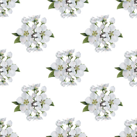 Seamless watercolor floral pattern with white apple blossoms.の写真素材
