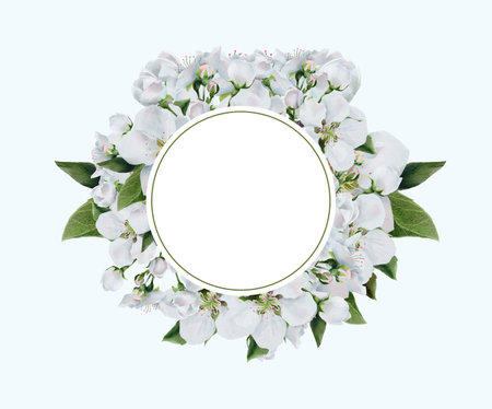 Elegant watercolor frame featuring white pear blossoms and green leaves arranged in a circular composition. Ideal for wedding invitations, greeting cards, or spring-themed templates.の写真素材