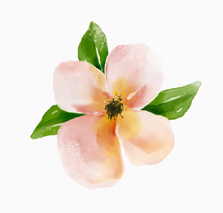 Elegant hand-painted watercolor illustration of a single soft pink flower with five petals and green leaves. Perfect for wedding stationery, branding, packaging, and botanical compositions.の写真素材