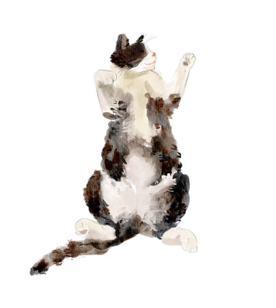 watercolor illustration of a multicolored cat sitting with back view and paw raised, looking up. Ideal for pet designs, cards, prints, and decor.の写真素材