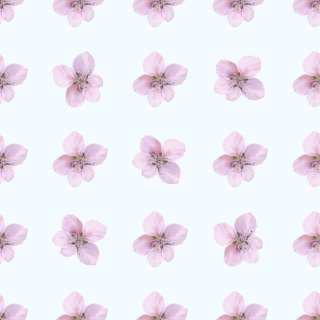 Cherry blossoms on a light blue background, seamless watercolor pattern. Perfect for packaging, textile, spring end summer decor, posters, paper and scrapbooking.の写真素材