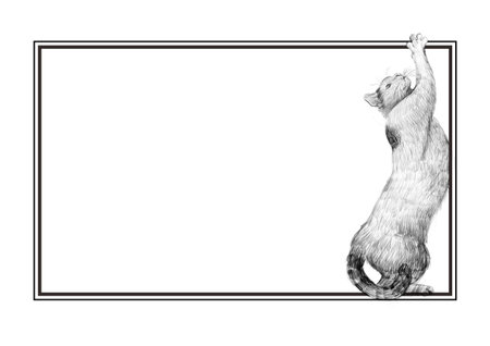 Pencil sketch of a stretching cat in a tall upright pose, placed inside a double-line black frame. Large empty space on the left side for text or design use. Ideal for cards or posters.の写真素材