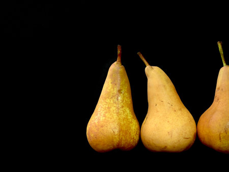 Close-up of group of yellow green ripe pears on darkの写真素材