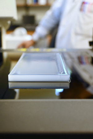 Close-up of agarose gel with out-of-focus scientist in the background