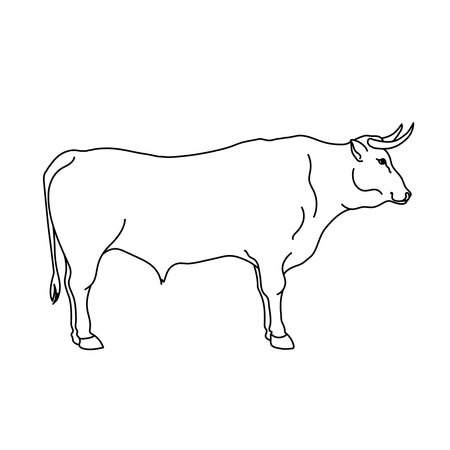 Bull line drawing. Minimalistic style for logo, icons, emblems, template, badges. Isolated on white background.のイラスト素材