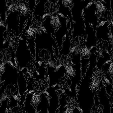 Ink, pencil, black and white iris flowers seamless pattern. Black background. Hand drawn nature painting. Freehand sketching illustration.のイラスト素材