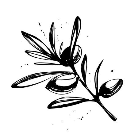 Olive branch drawn in black ink. Isolated on white backgroundのイラスト素材