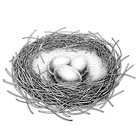 Nest with three eggs. Engraving style. Black ink pen. Black and white.のイラスト素材
