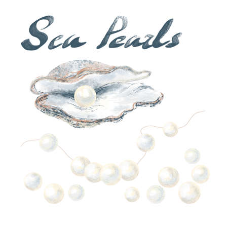 Set of sea pearls. An open seashell with a piece of jewelry, a string with pearls, beads separately isolated on a white background. Hand-drawn sketch.の写真素材