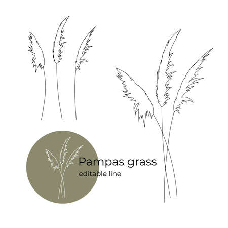 Pampas Grass drawn in a minimalistic style by line. Part of the collection of dried flowers. Editable line.のイラスト素材