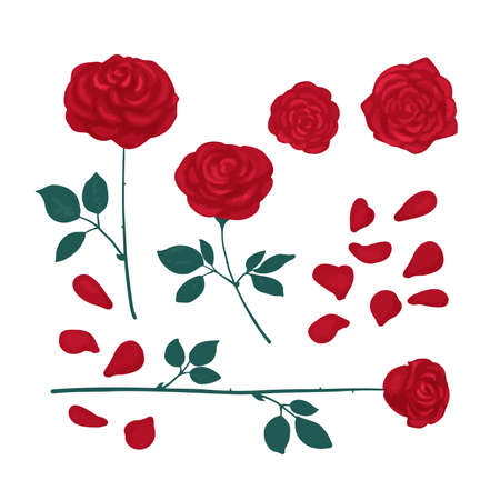 Set of drawn roses bright red colorのイラスト素材