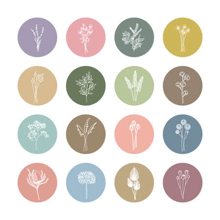Large collection of dried flowers: Lavender, Gomphrena, Eucalyptus, Craspedia, Lagurus, Ruscus, Cotton, Gypsophila, Pampas, Proteas, Echinops, Banksia, Hydrangea, Palm, Nigella. Editable line.のイラスト素材