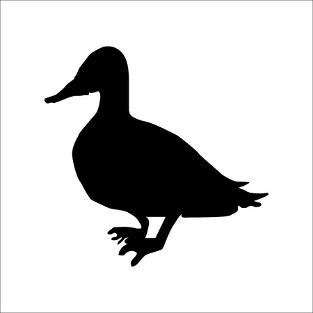 Duck silhouette, black animal image isolated on whiteのイラスト素材