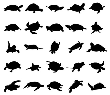 Turtle silhouettes set isolated on white backgroundのイラスト素材