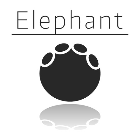 Elephant animal track with name and reflection on white backgroundのイラスト素材