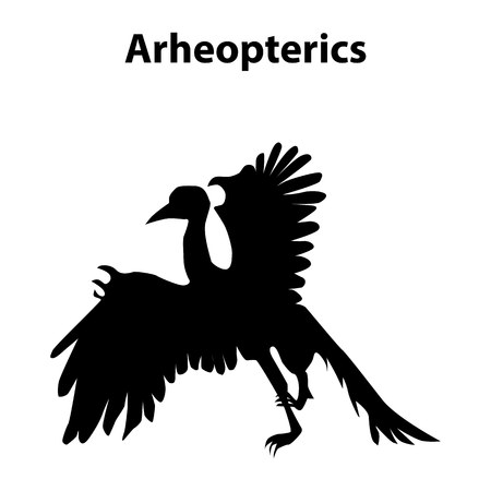 Arheopterics dinosaur black silhouettes isolated on white backgroundのイラスト素材