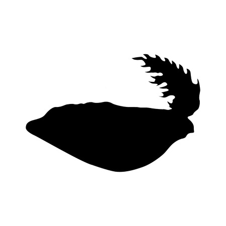 Hat black silhouette isolated on white backgroundのイラスト素材