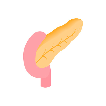 Pancreas isometric 3d icon. Human organ symbol on a white backgroundのイラスト素材