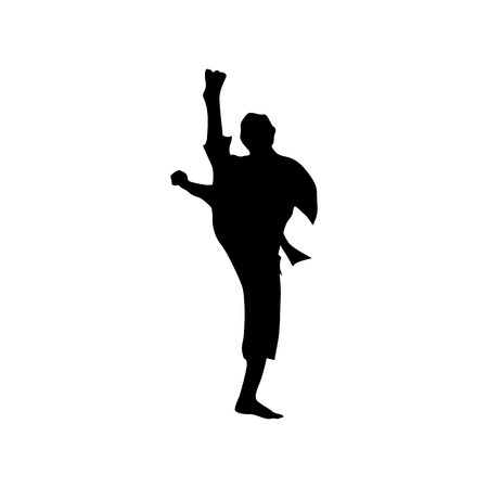 Karate black silhouette isolated on the white backgroundのイラスト素材