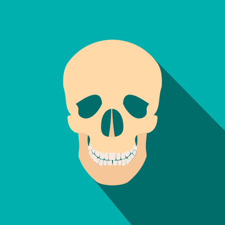 Human skull flat icon with shadow on blue backgroundのイラスト素材
