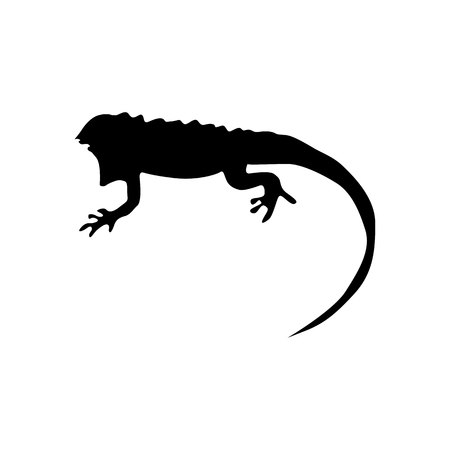 Lizard black silhouette isolated on white backgroundのイラスト素材