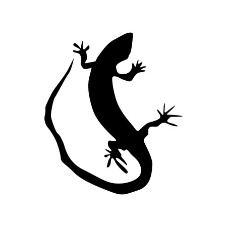 Lizard black silhouette isolated on white backgroundのイラスト素材