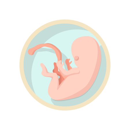 Baby in a womb cartoon icon on a white backgroundのイラスト素材