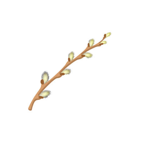 Pussy willow branche cartoon icon on a white backgroundのイラスト素材