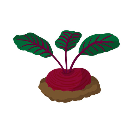 Red radishes cartoon icon isolated on a white backgroundのイラスト素材