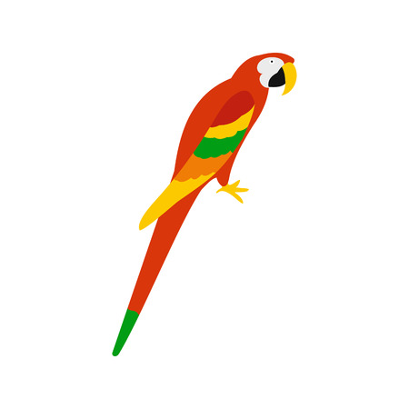 Orange brazil parrot icon in flat style isolated on white backgroundのイラスト素材