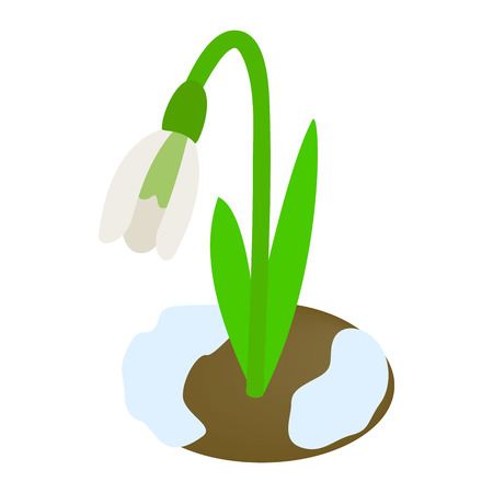 White snowdrop icon in isometric 3d style on a white backgroundのイラスト素材