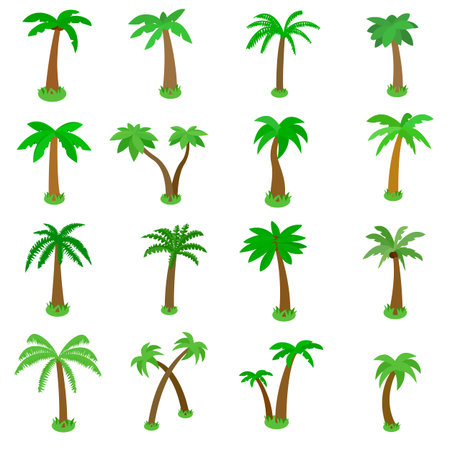 Palm tree icons set in isometric 3d style isolated on whiteのイラスト素材