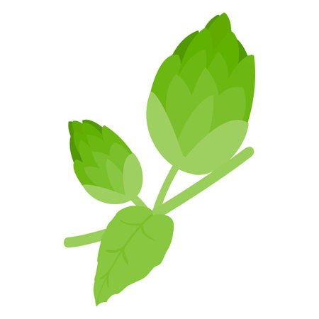 Branch of hops icon in isometric 3d style on a white backgroundのイラスト素材