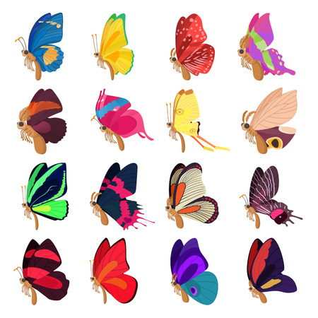Butterfly icons set in cartoon style on a white backgroundのイラスト素材