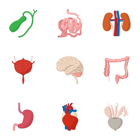 Human organs icons set, cartoon styleのイラスト素材