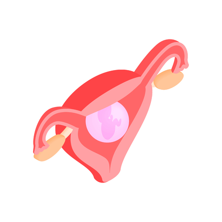Female uterus isometric 3d icon. Anatomy symbol on a white backgroundの写真素材