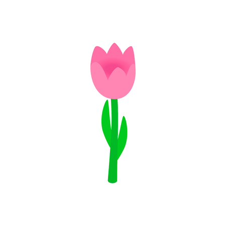 Pink tulip isometric 3d iconの写真素材