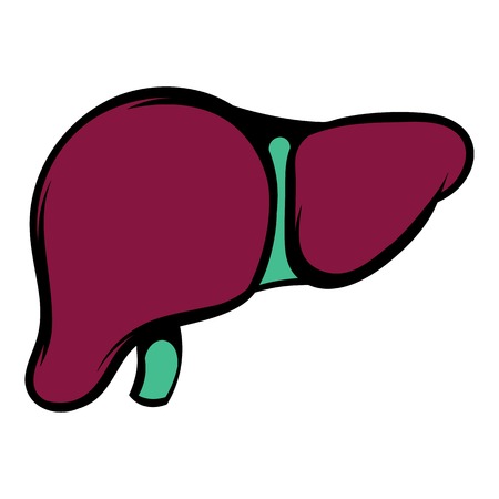 Human liver icon, icon cartoonの写真素材