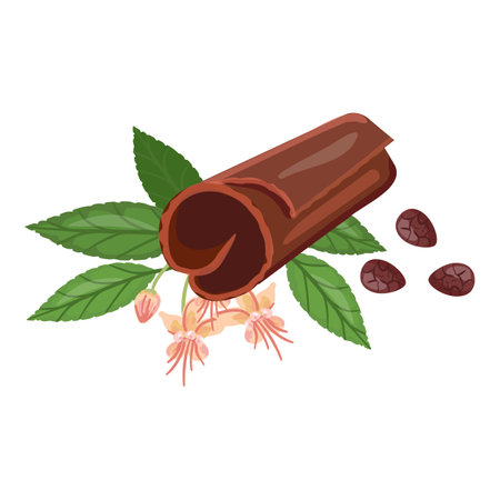 Cacao butter icon cartoon vector. Cocoa bean. Tree powderのイラスト素材