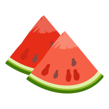 Watermelon part icon cartoon vector. Slice fruit. Half circleのイラスト素材